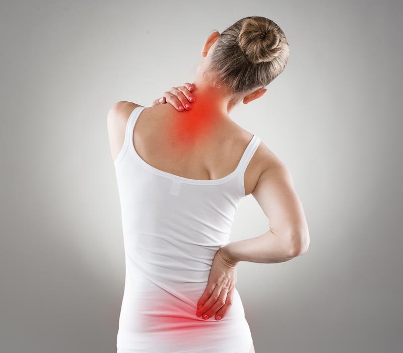 chiropractic services  Clinton Twp., MI 
